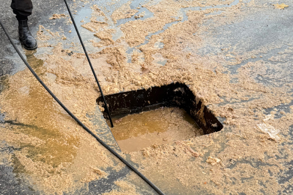 drain cover